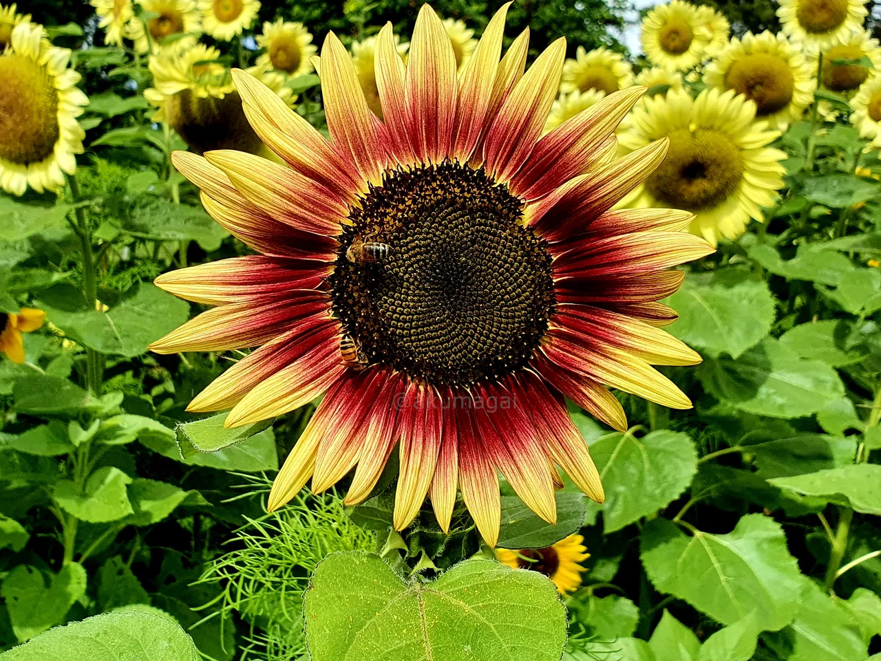 20220206_100907.jpg