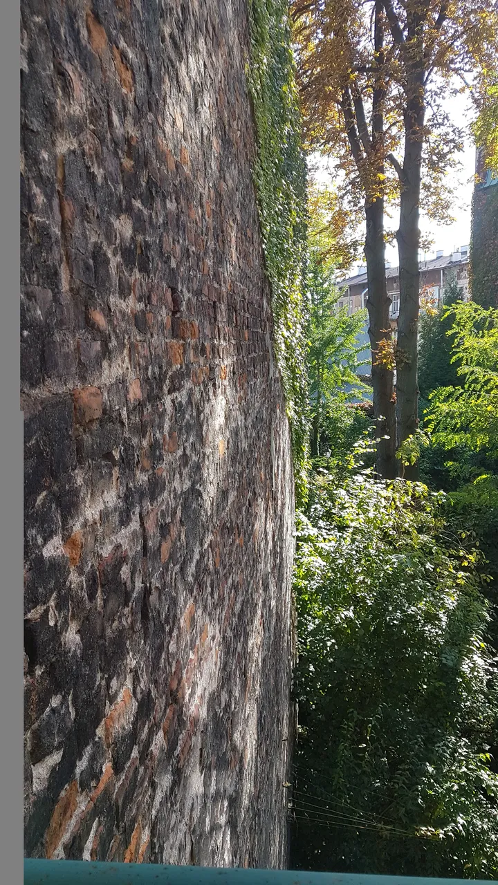 20191013_132526.jpg
