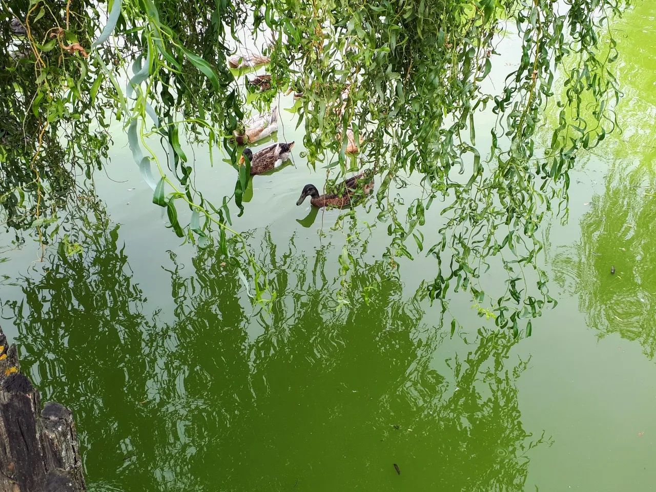 20250716_111045.jpg