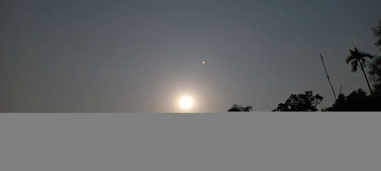 20220318_162045.jpg