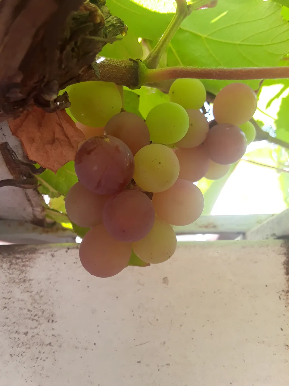20201015_094210.jpg