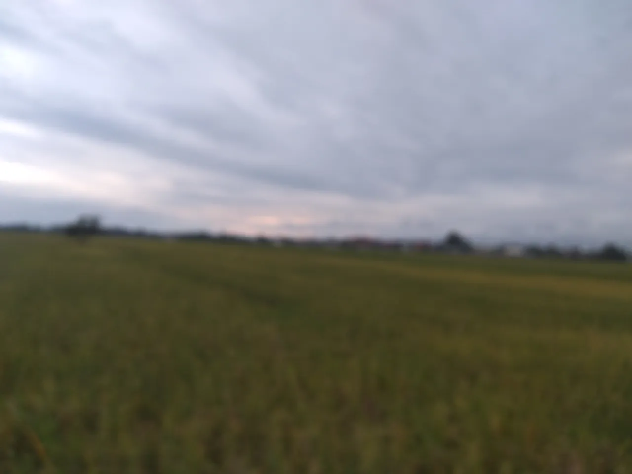 20241129_175015.jpg