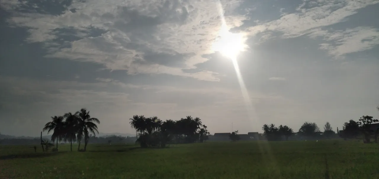 20230224_173126.jpg
