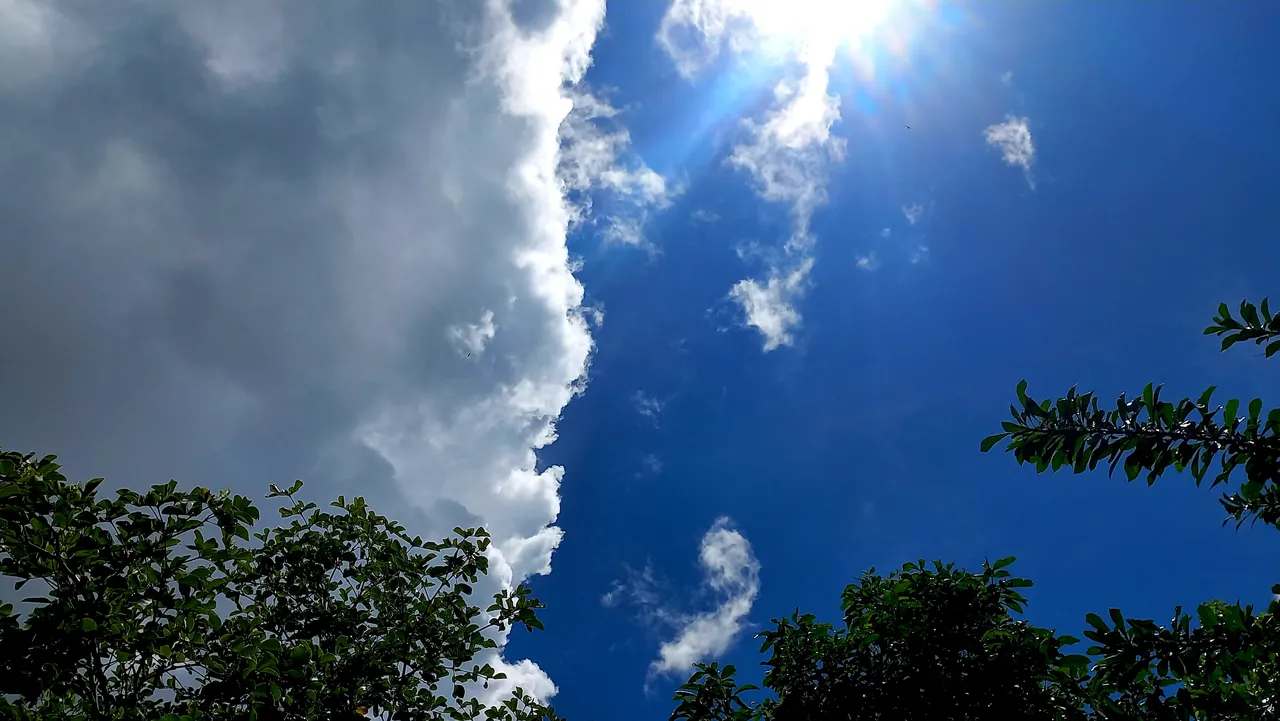 20250722_113144.jpg