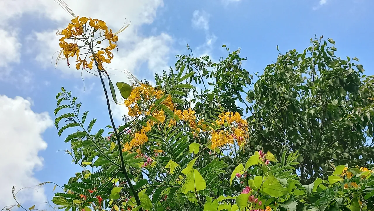 20250701_115224.jpg