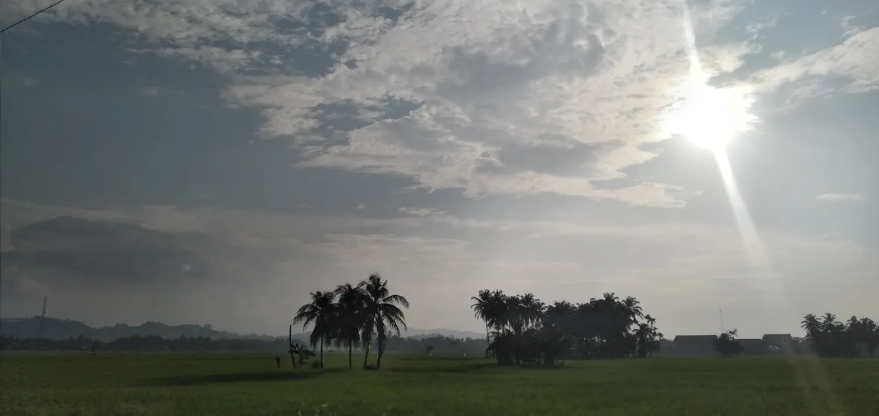 20230224_173124.jpg