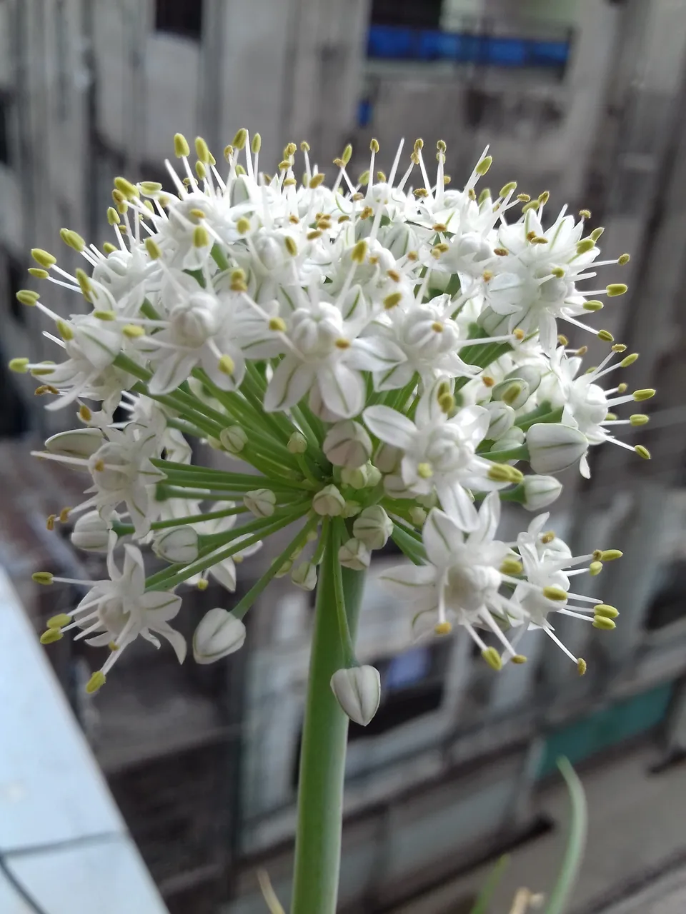 20190417_080022.jpg