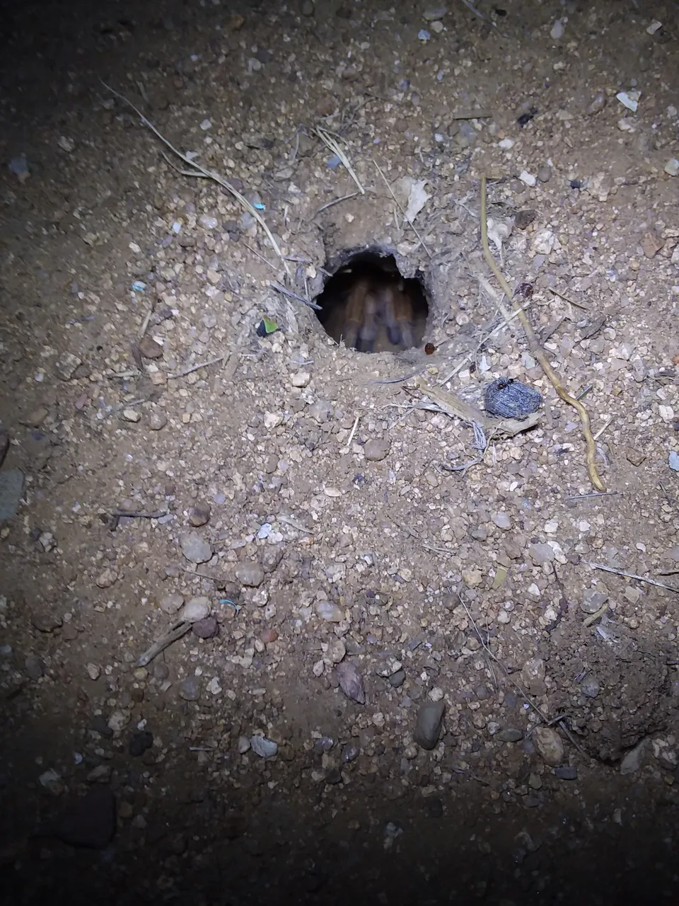 20180624_200551.jpg