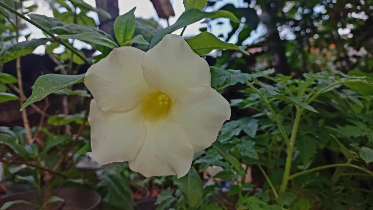 20230911_113714.jpg