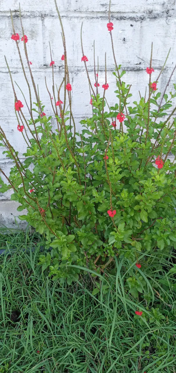 20250628_170547.jpg