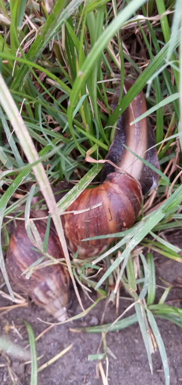 20250712_182833.jpg