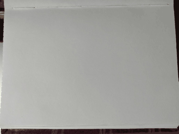 20220420_161111.gif