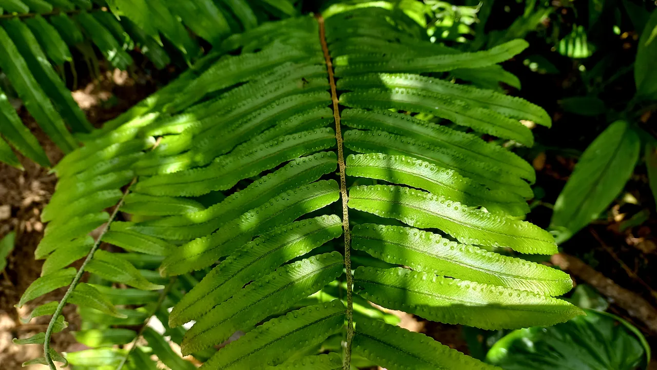 20230814_121040.jpg