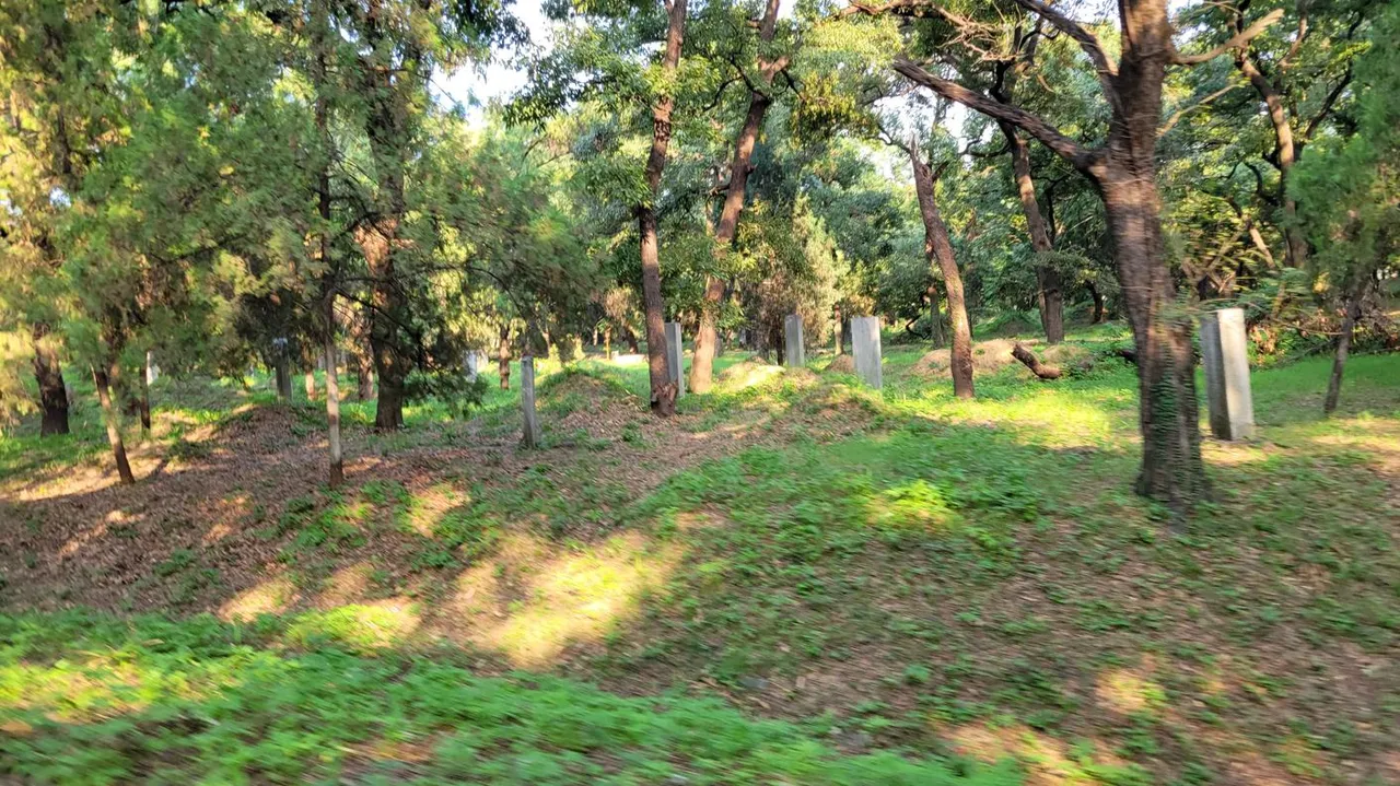 20250826_162732.jpg