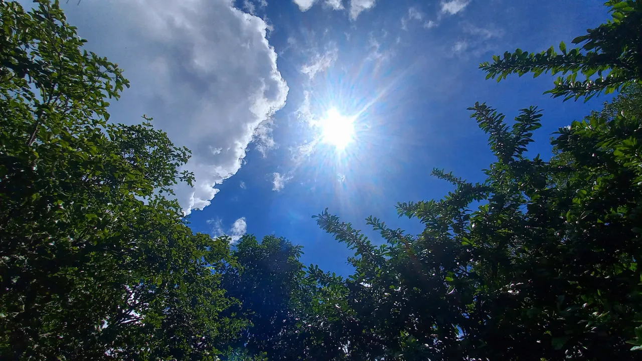 20250722_113150.jpg