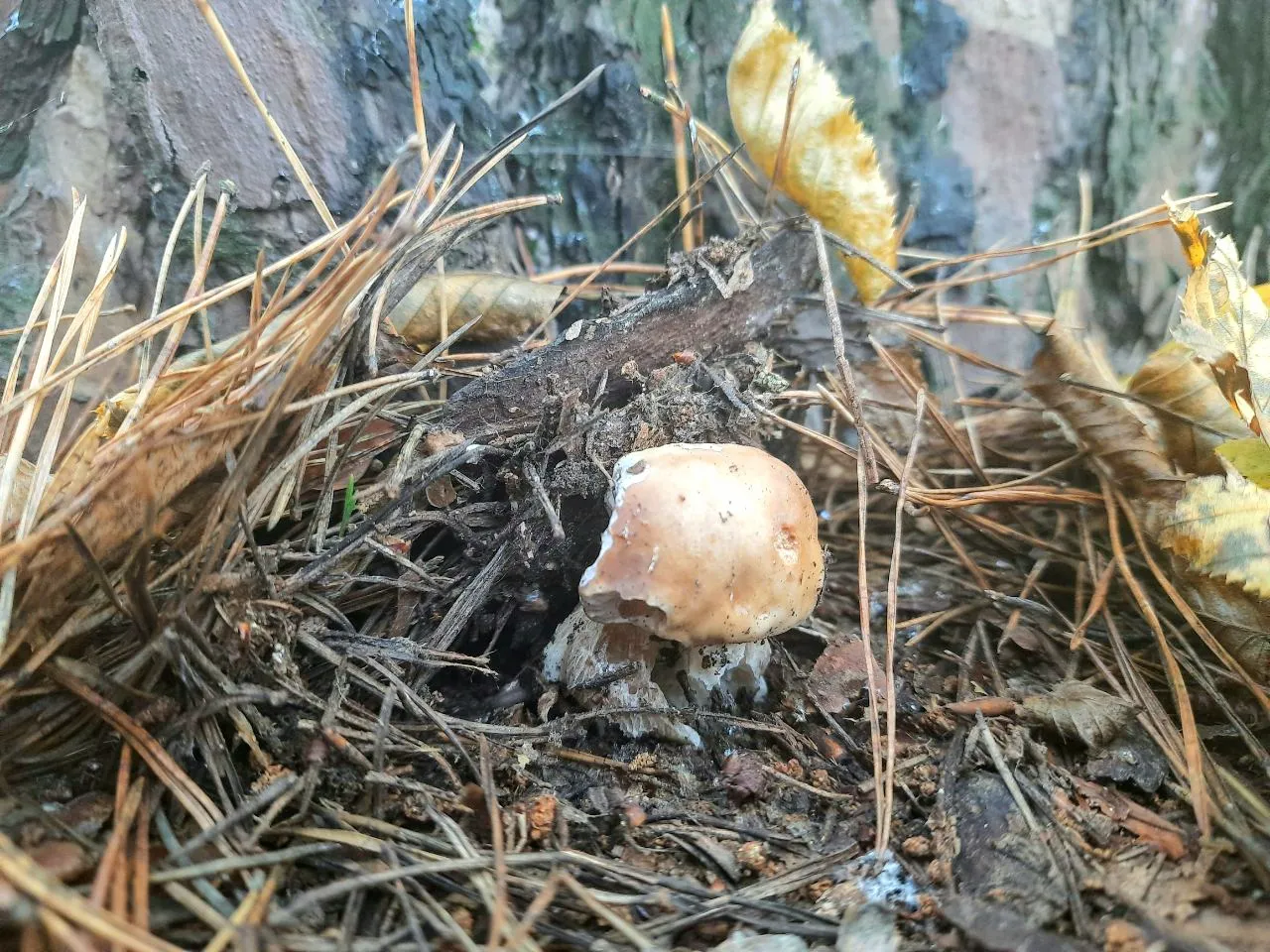 20201030_232514.jpg
