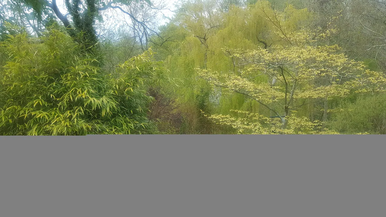 20210502_130308.jpg
