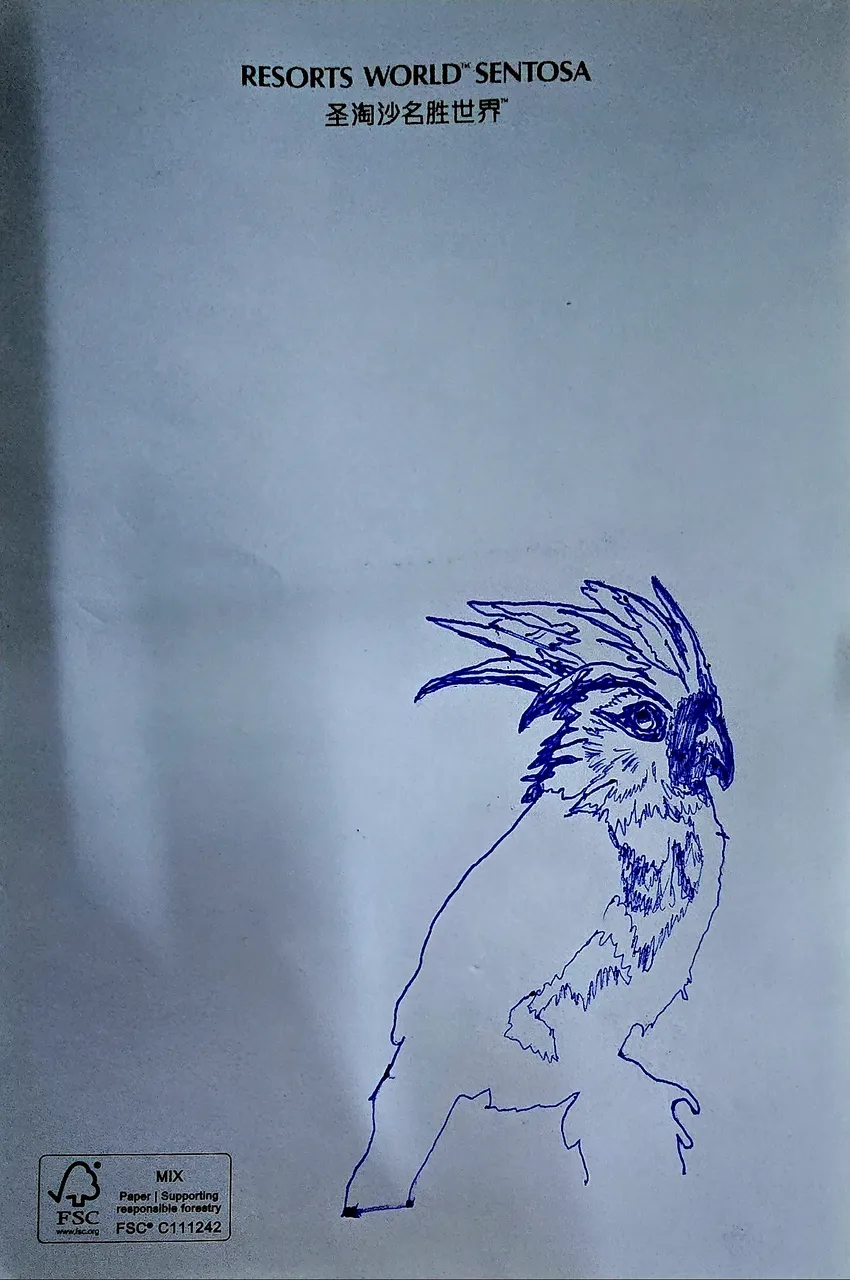 20250623_201437.jpg