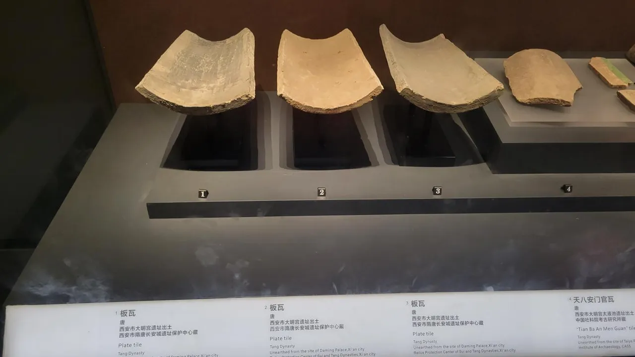 20240823_115307.jpg