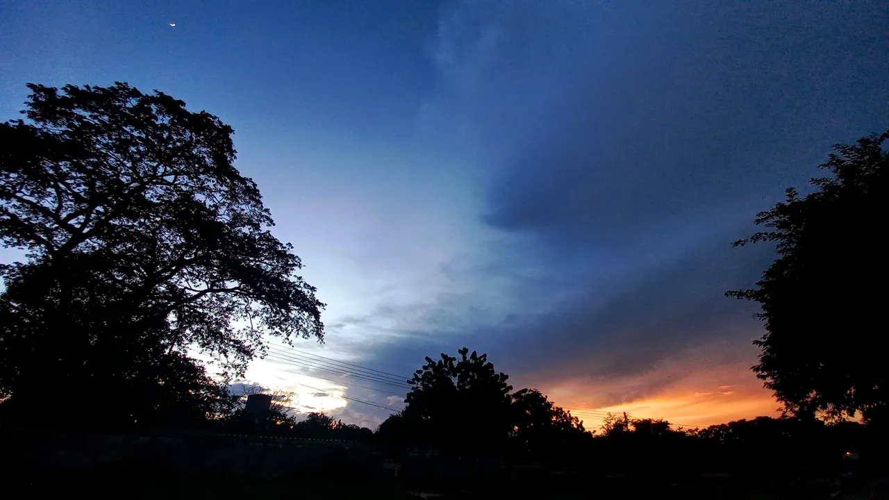 20250729_185036.jpg