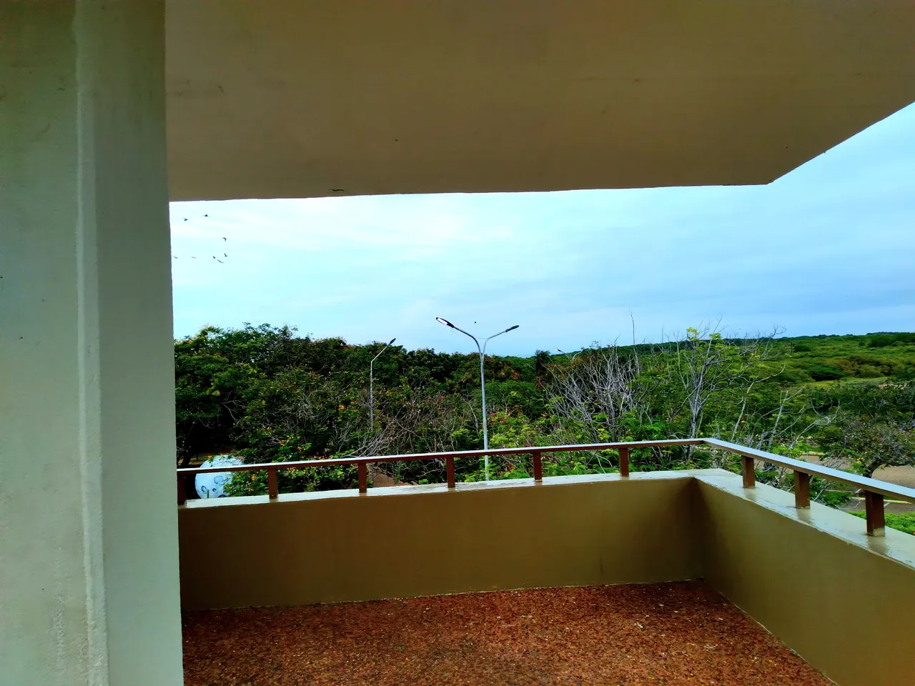 20250426_100939.jpg