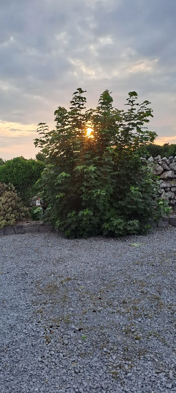 20230615_210551.jpg