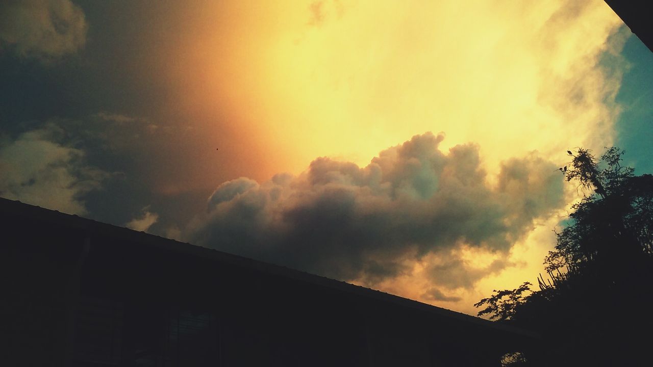 20200718_185723.jpg