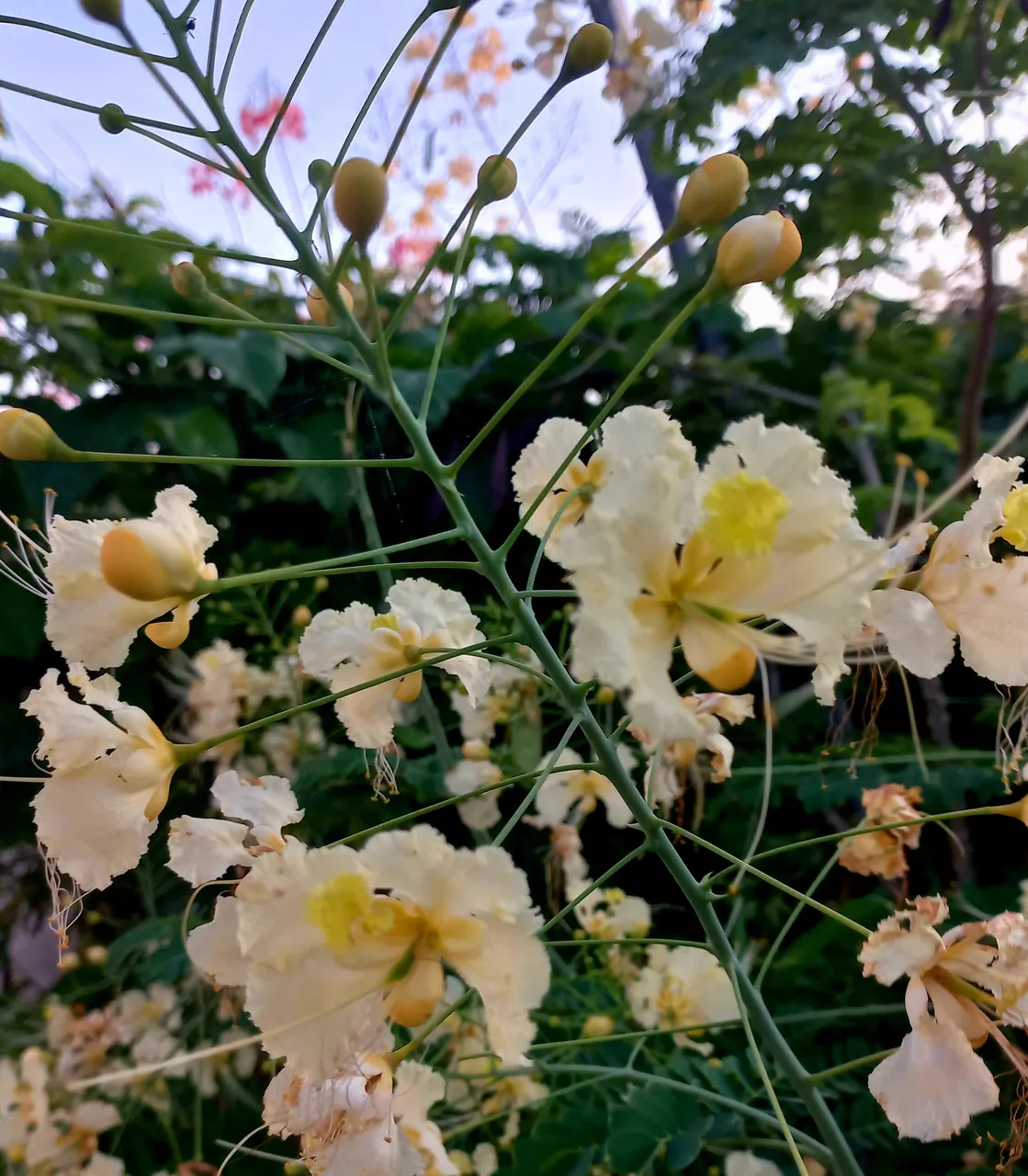 20221020_175851.jpg