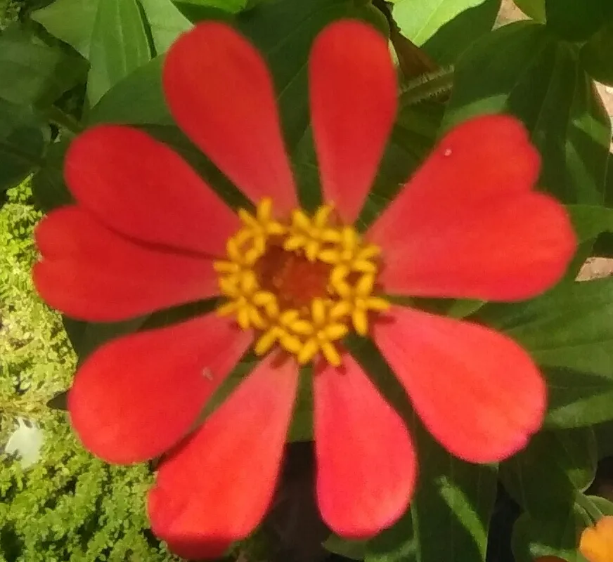 20210705_173605.jpg