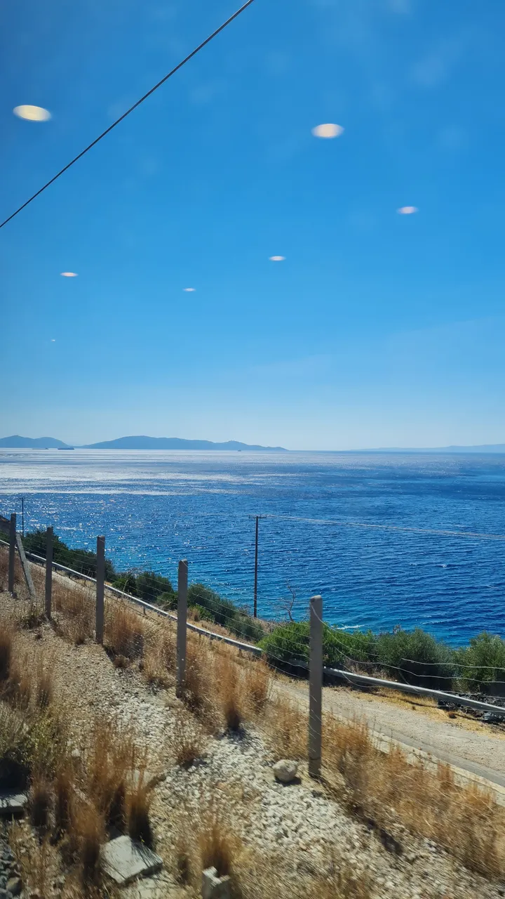 20220703_103725.jpg