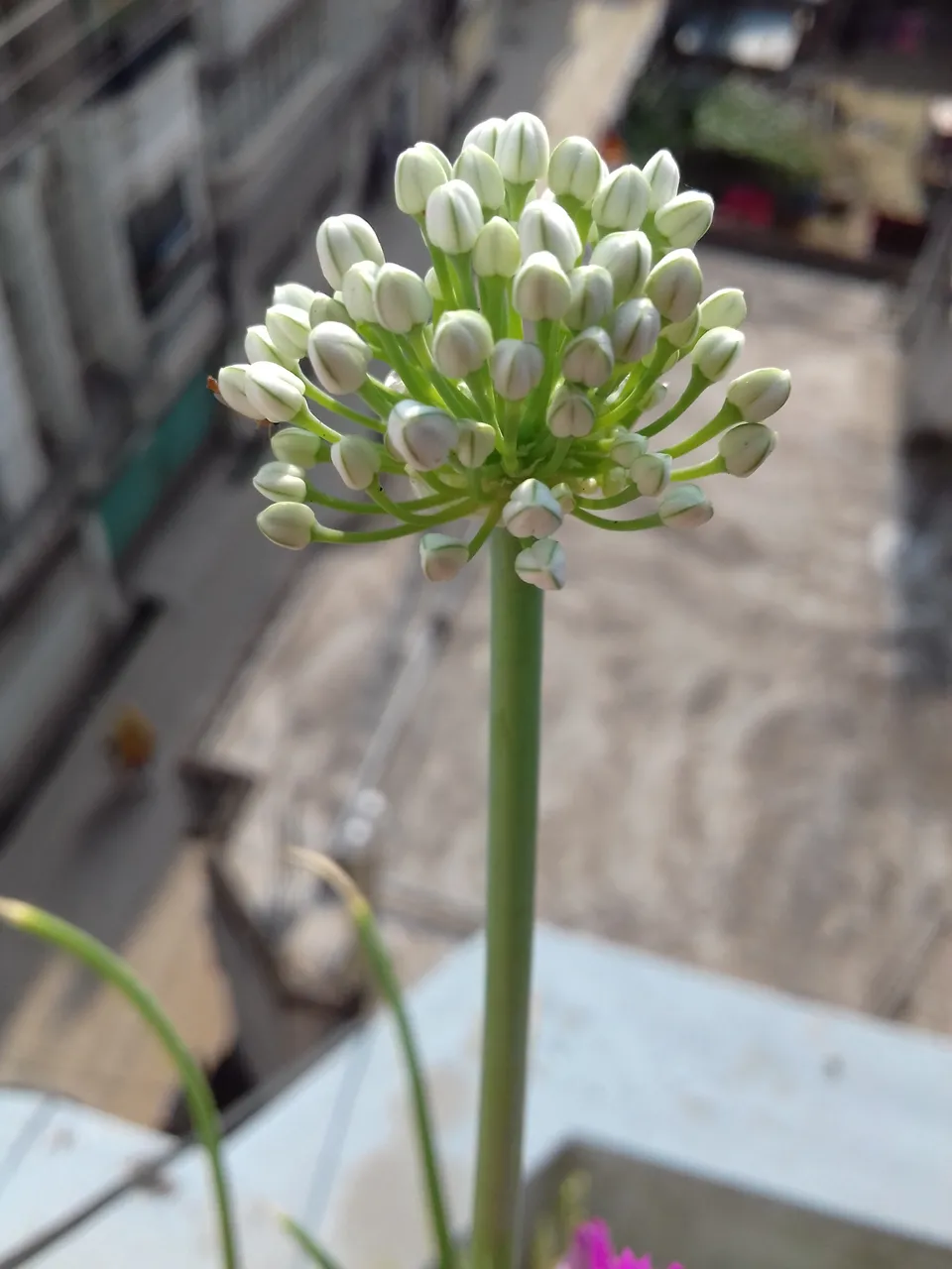 20190408_080244.jpg