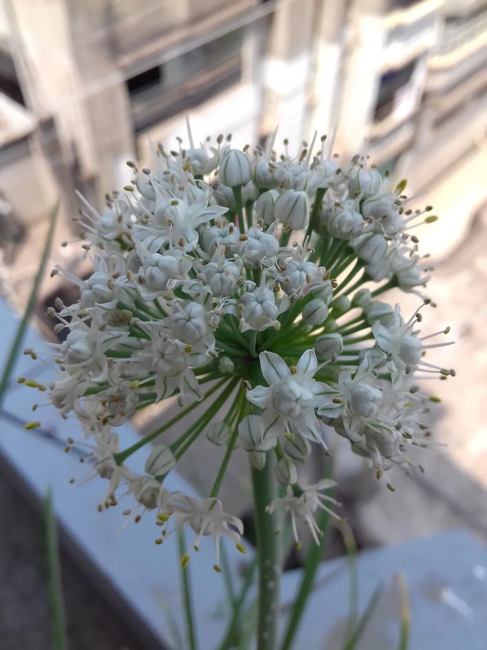 20190419_133432.jpg