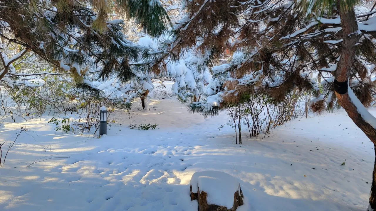 20231107_074549.jpg