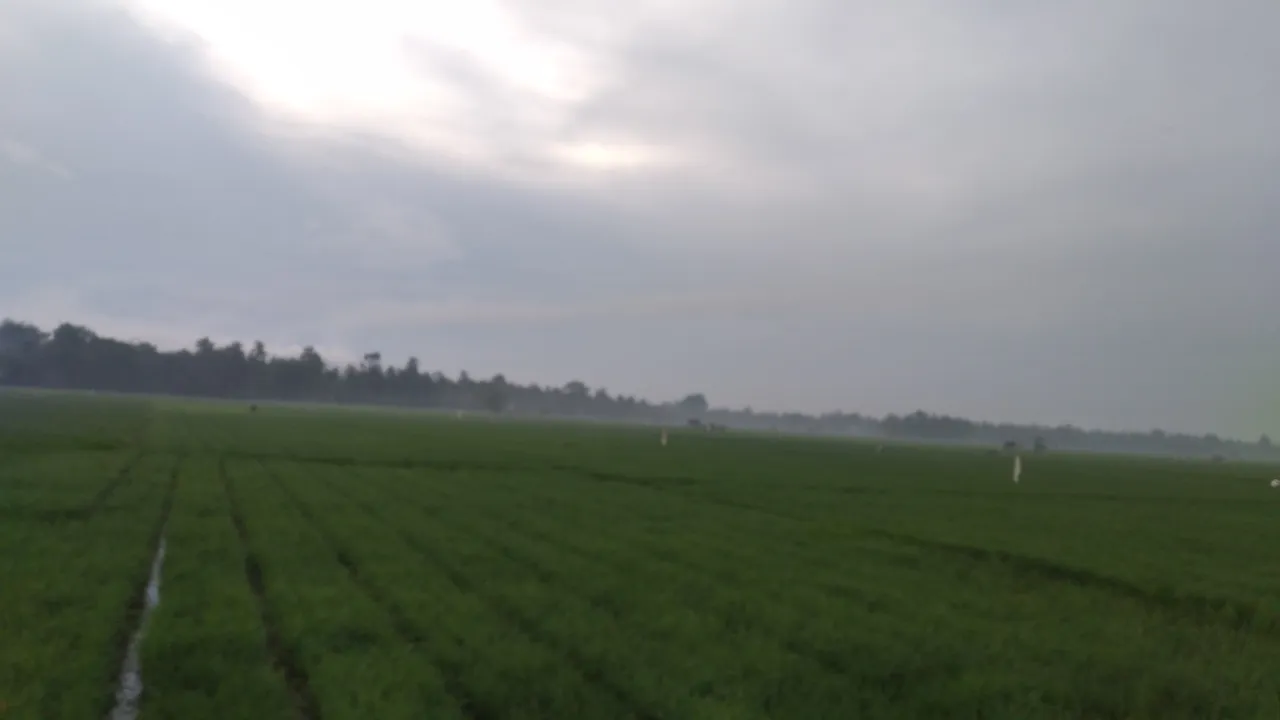 20240310_065916.jpg