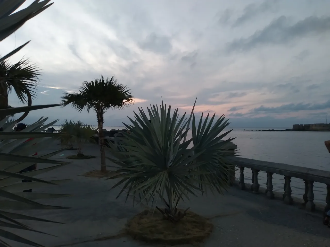 20230909_184502.jpg