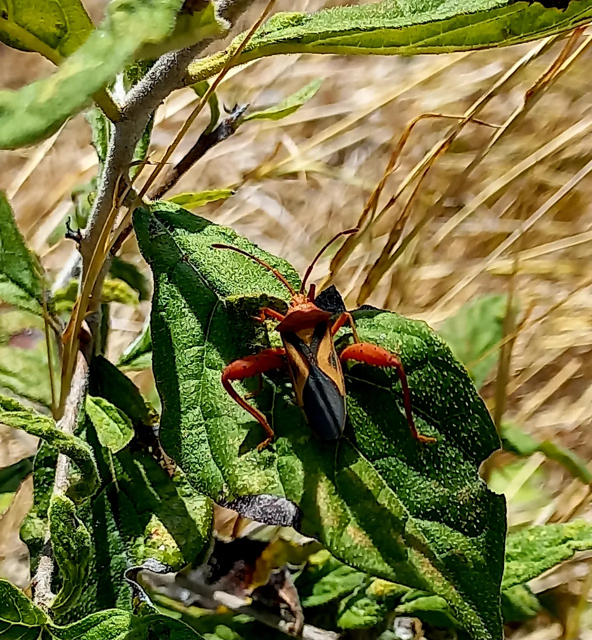 20220210_105031.jpg