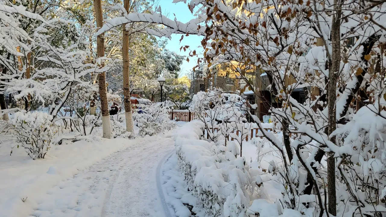 20231107_073643.jpg