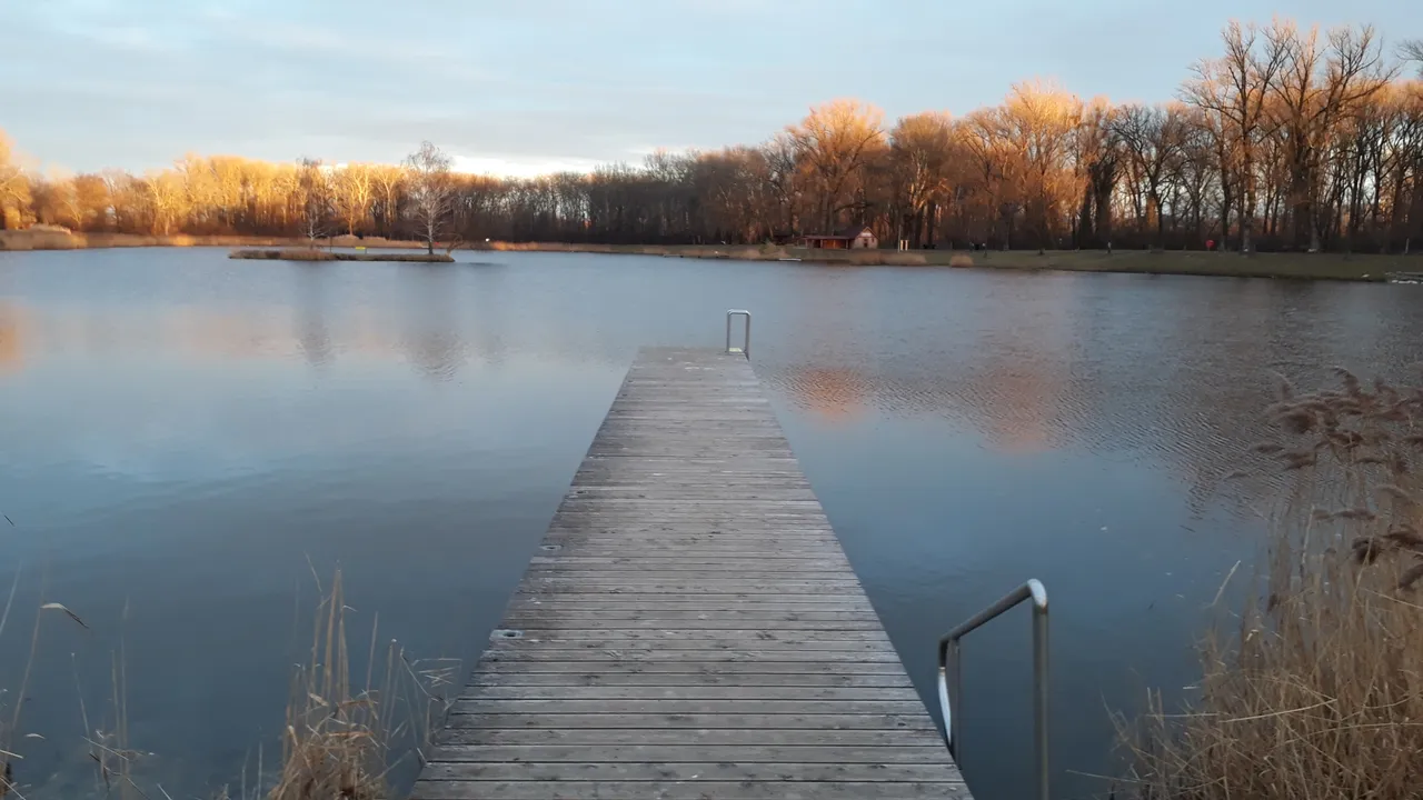 20220208_165016.jpg