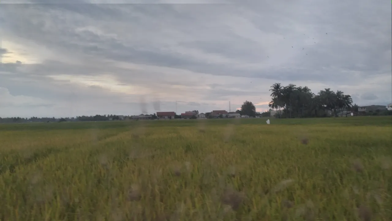 20241129_175112.jpg