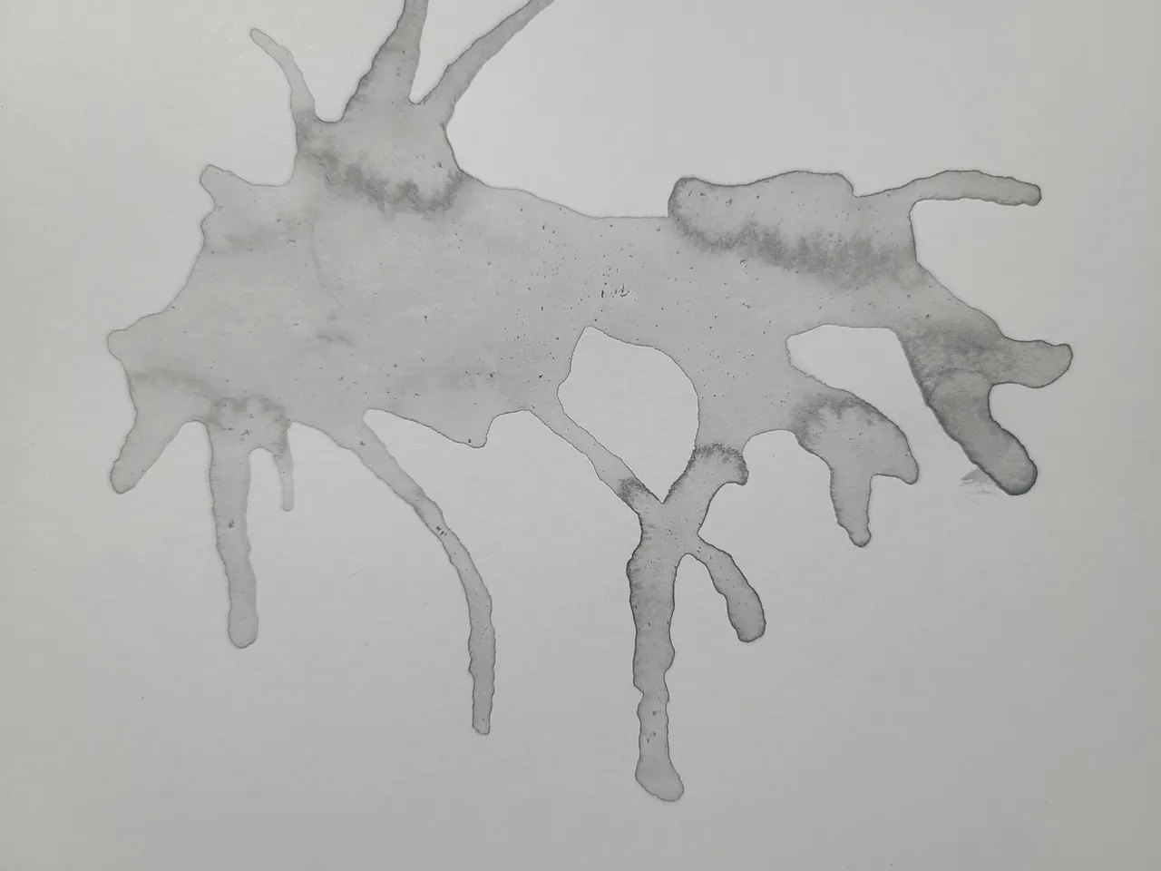 20211025_195200.jpg