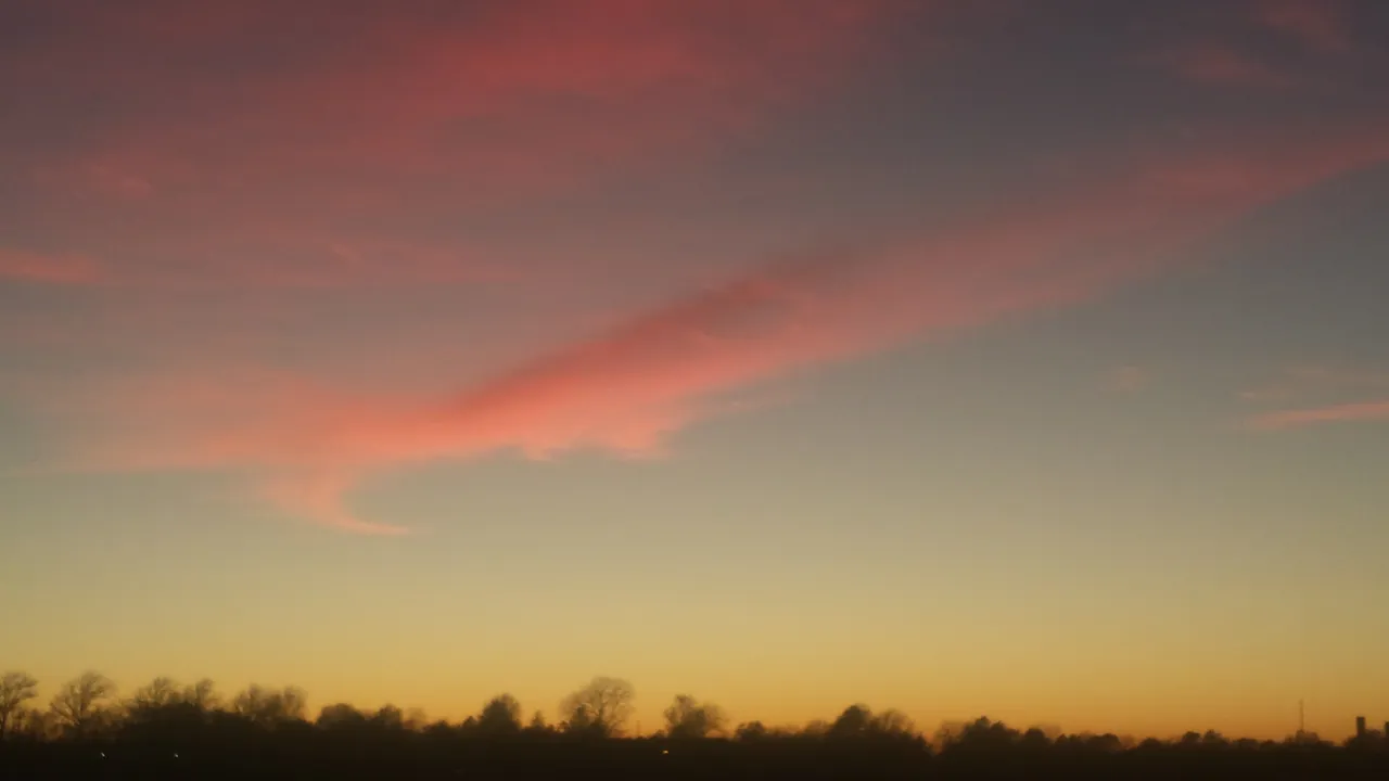 20201208_172504.jpg