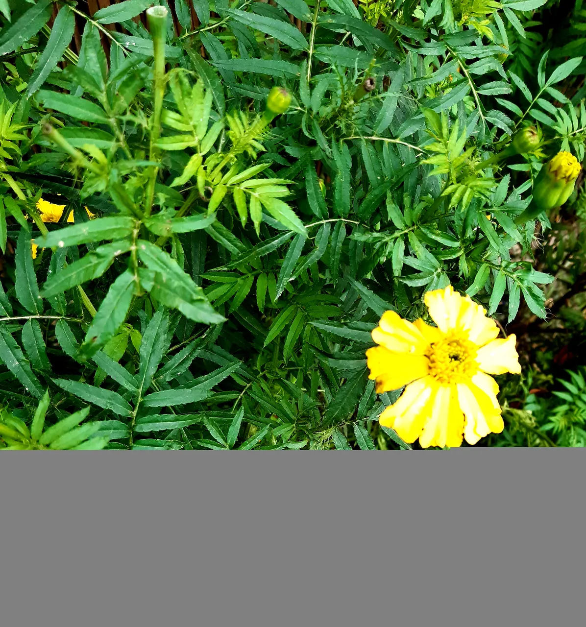20220114_150927.jpg