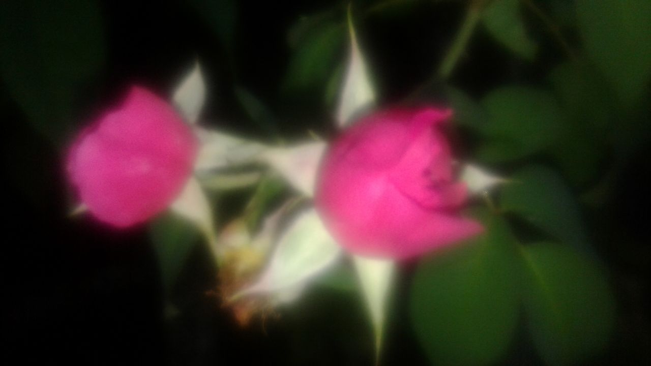 20220708_183003.jpg