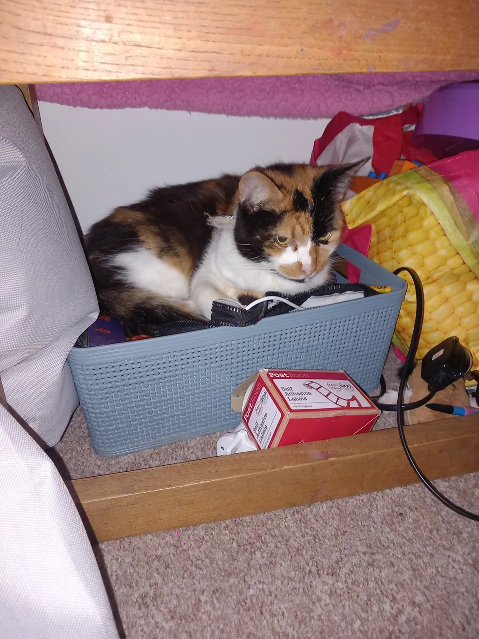 20231224_123551.jpg