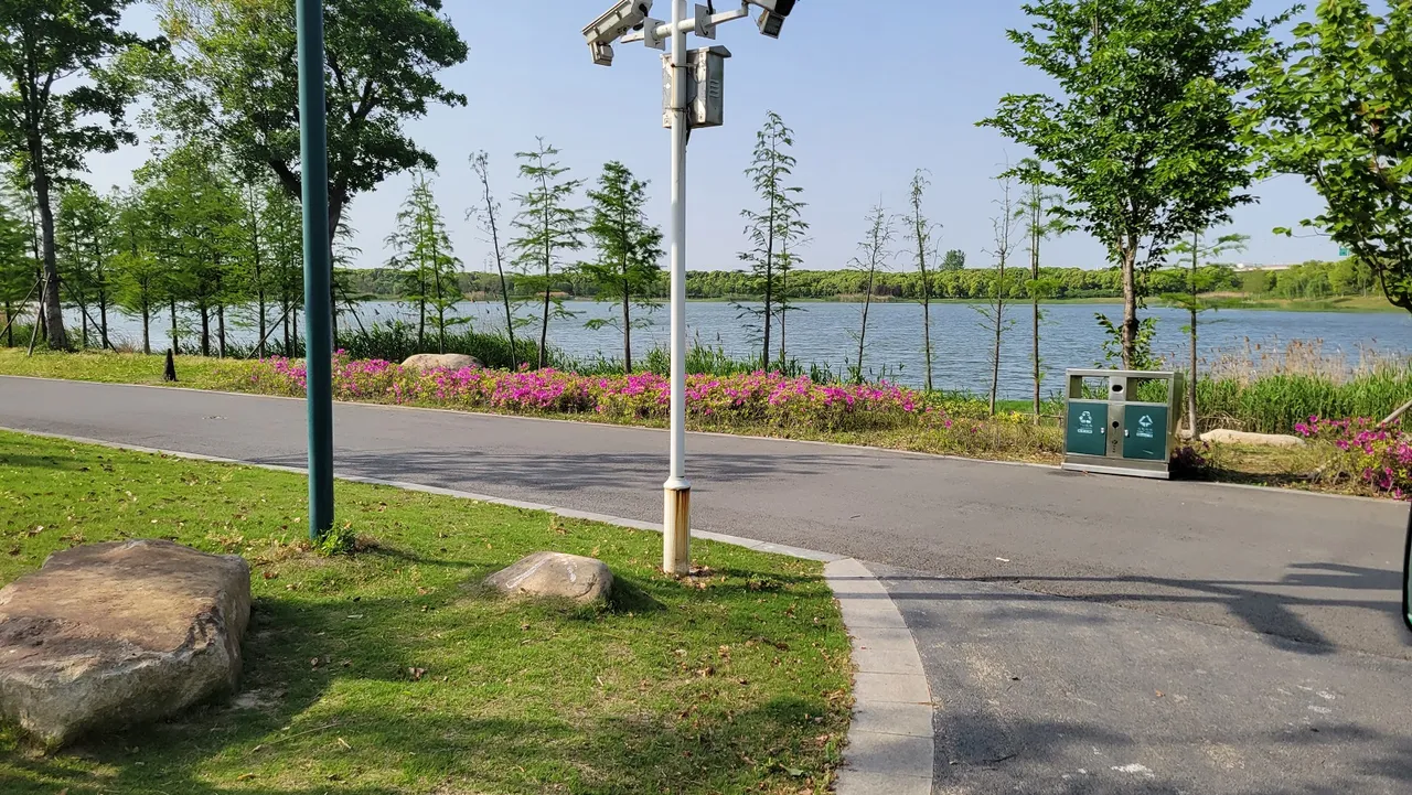 20230421_153747.jpg