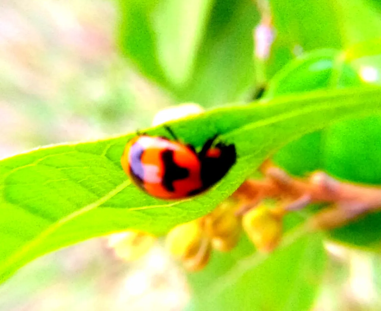20210417_105154.jpg
