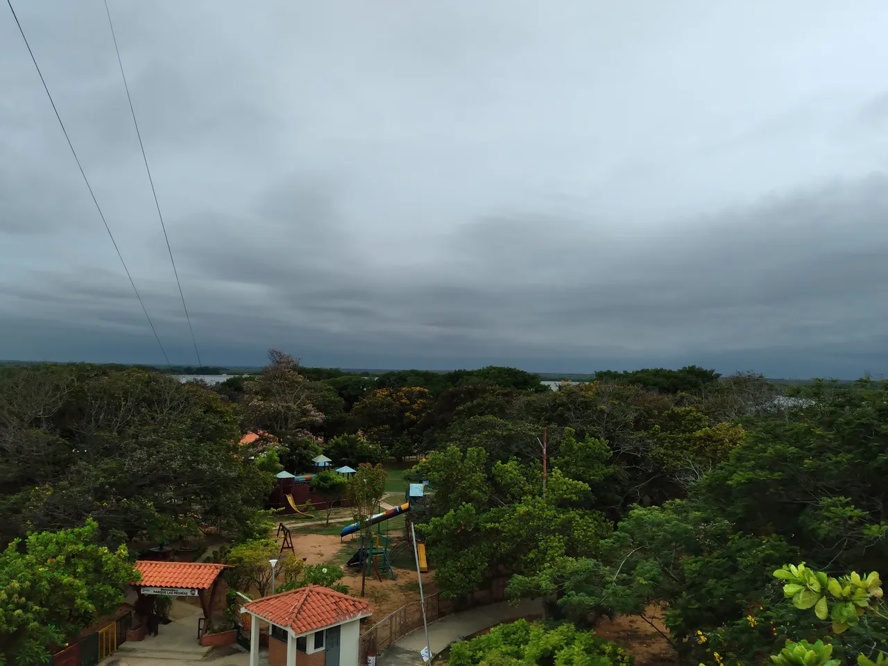 20250426_101159.jpg