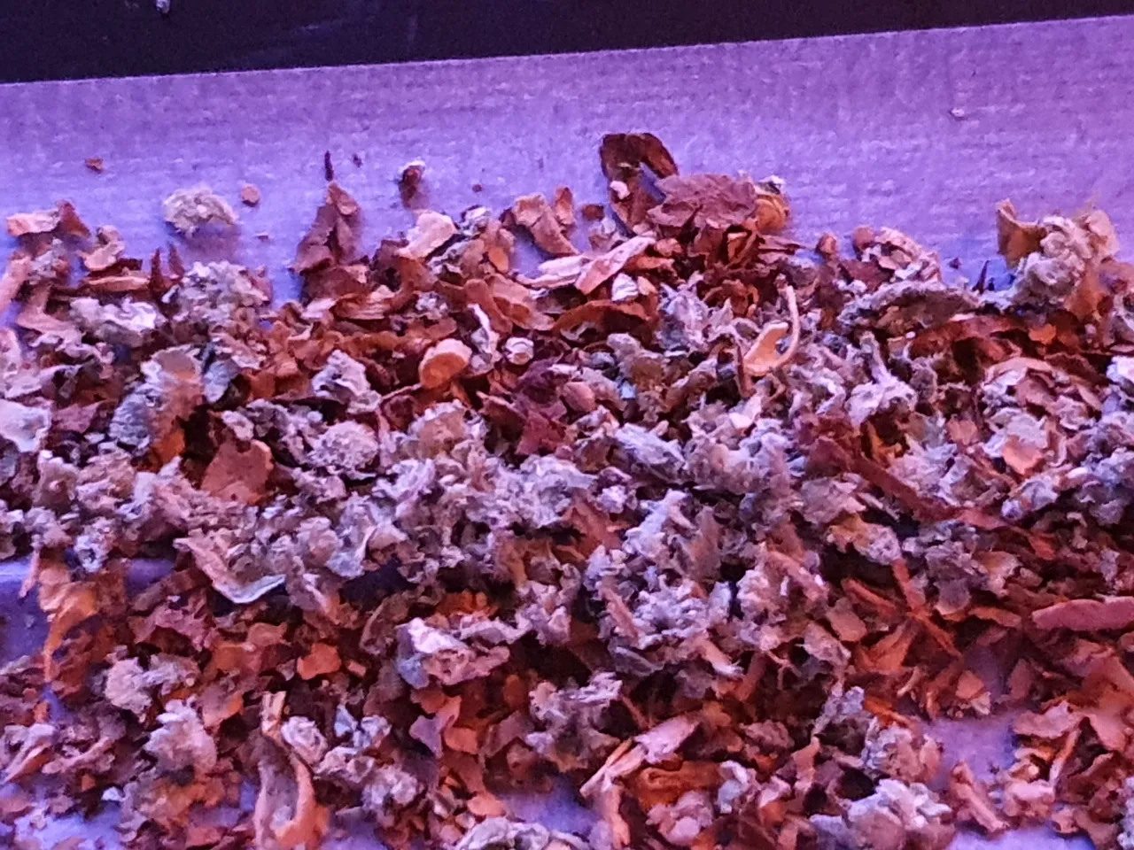 20210812_003016.jpg