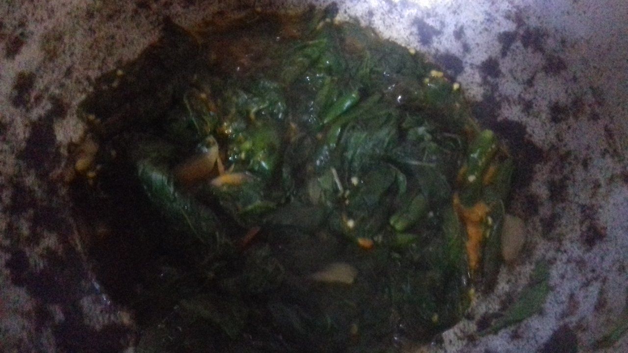 20210520_122214.jpg