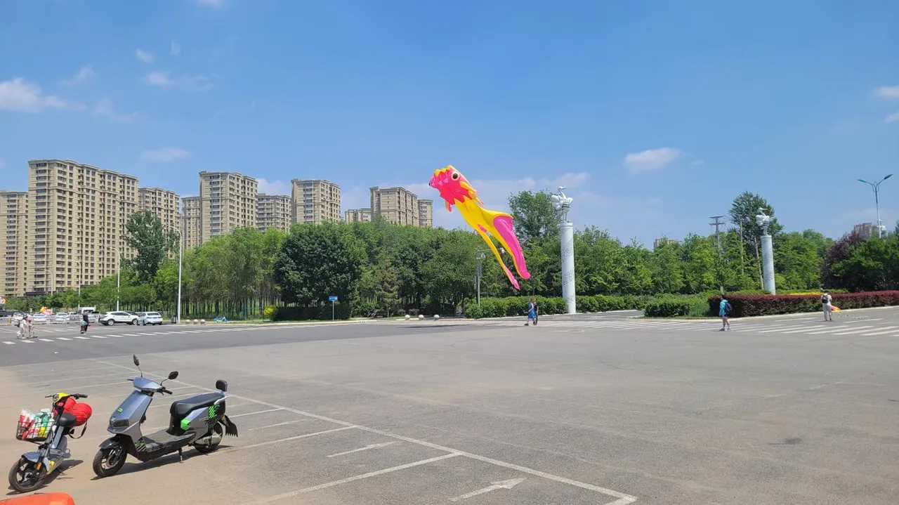 20240609_123239.jpg